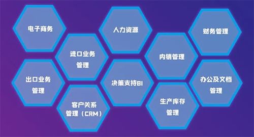 服裝外貿企業如何在快反時代借力軟件實現高效轉型